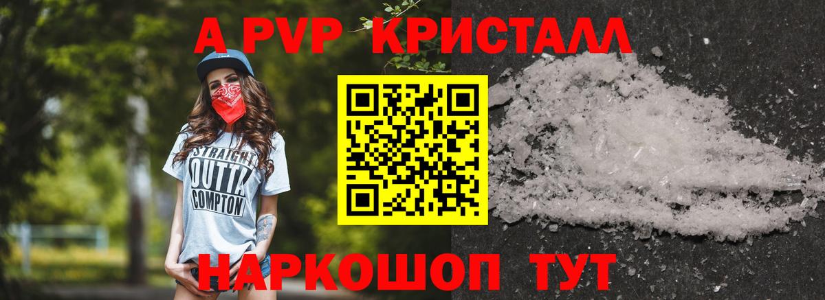 А ПВП СК  как найти   Магадан  Вход с VPN 
